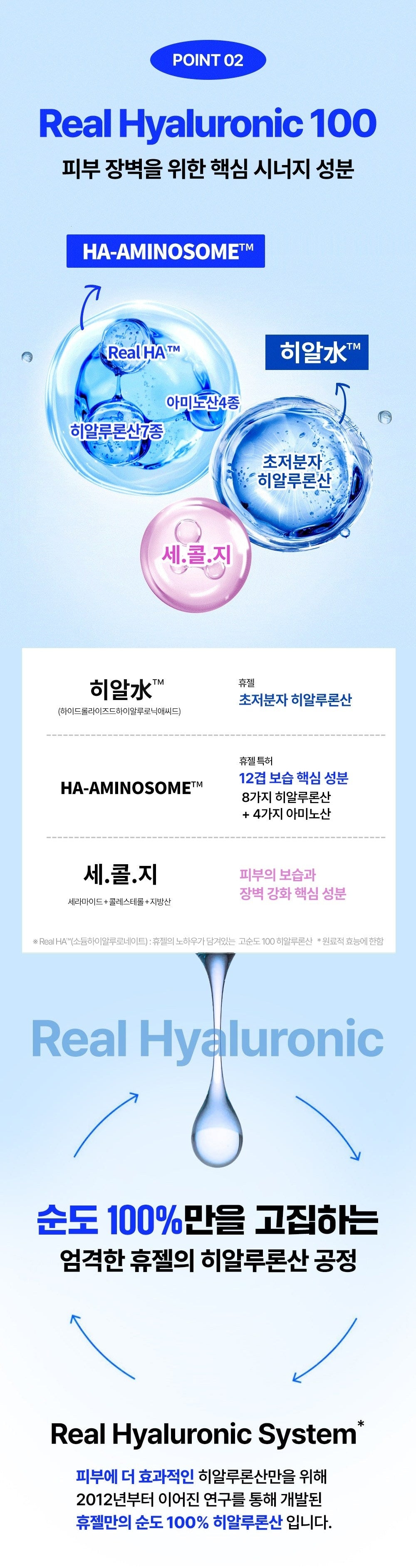 WELLAGE Real Hyaluronic 100 Cream 80ml