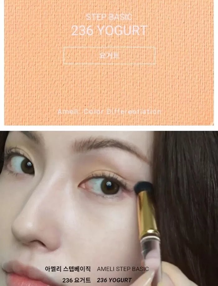 AMELI Step Basic Eyeshadow 1.9g