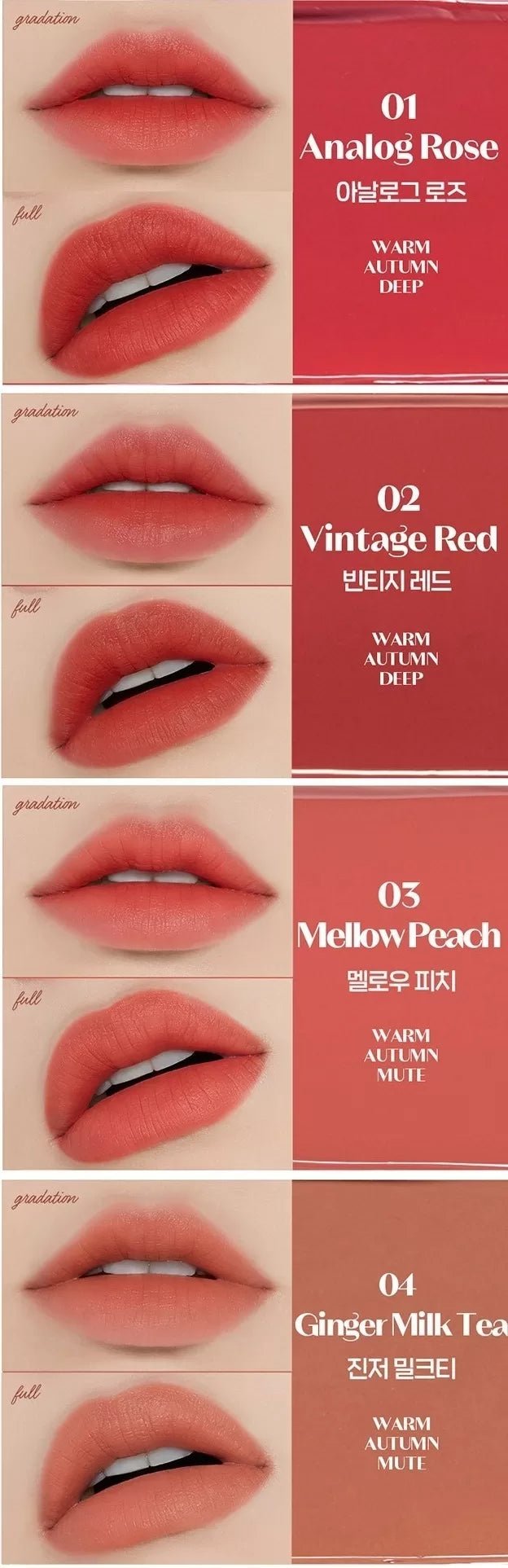 ETUDE Fixing Tint 4g