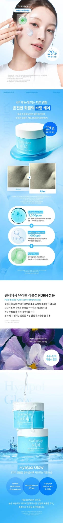 MIXSOON Hyalraebae Pore Waterful Gel Cream