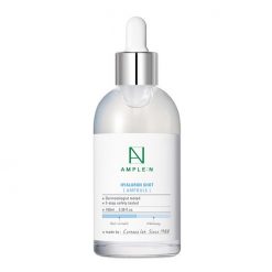 AMPLE N Hyaluron Shot Ampoule 100ml