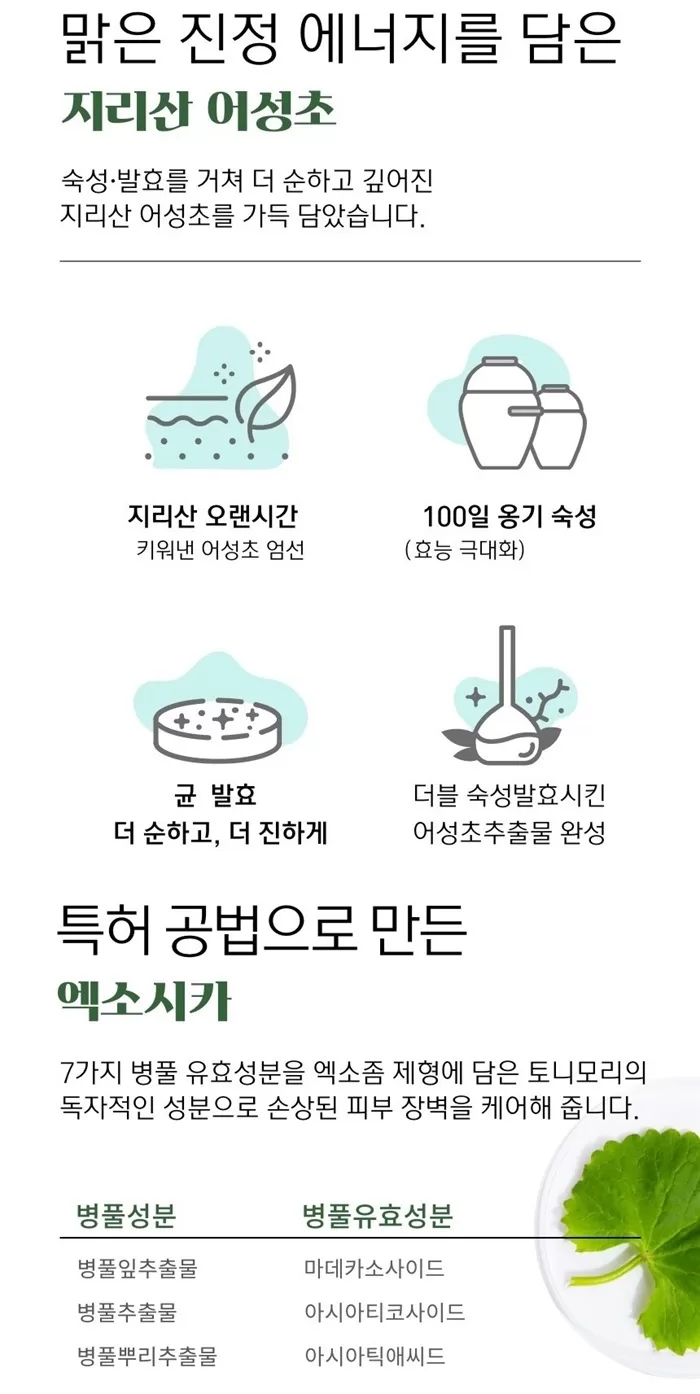 TONYMOLY Houttuynia Cordata Cica Quick Calming Ampoule 1